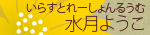 水月ようこ
